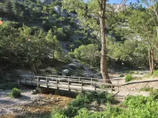 La Val Rosandra in una foto di archivio