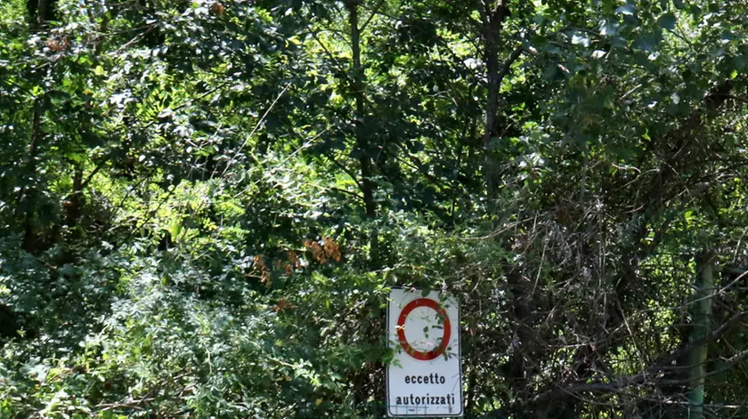 Bonaventura Monfalcone-13.08.2019 Ex discarica-Via Monte Sei Busi-Ronchi dei Legionari-foto di Katia Bonaventura