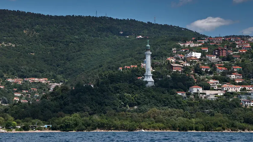 Il tratto di bosco Bovedo che, secondo il progetto, sarà attraversato dalla cabinovia metropolitana da Trieste a Opicina Foto Lasorte