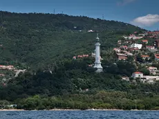 Il tratto di bosco Bovedo che, secondo il progetto, sarà attraversato dalla cabinovia metropolitana da Trieste a Opicina Foto Lasorte