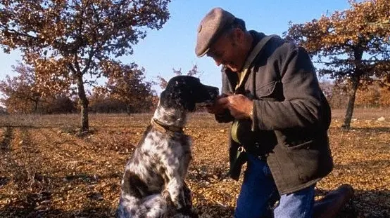 Un cercatore di tartufi con il suo cane