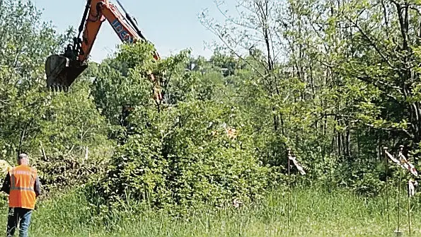 I lavori di disboscamento dell'area delle Noghere per il park dei Tir