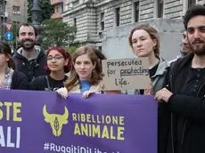 L'arrivo dell'attivista in Tribunale. Foto Lasorte