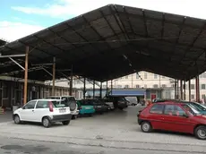 Bumbaca Gorizia Mercato all'ingrosso