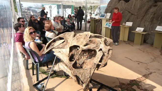 Lasorte Trieste 16/03/14 - Villaggio del Pescatore, Sito Paleontologico, Cranio Dinosauro Laura