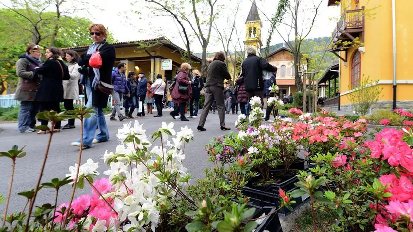 Un'immagine di "Horti Tergestini"