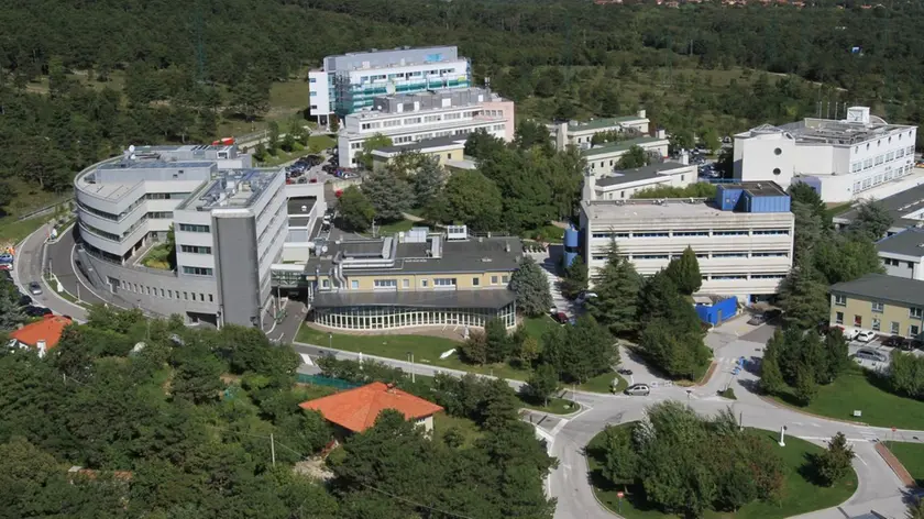 Una veduta dell'Area Science Park di Trieste