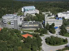 Una veduta dell'Area Science Park di Trieste