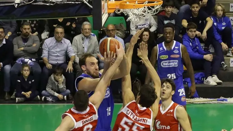 bolognini agenzia foto film Villorba Treviso basket-piacenza in foto ancellotti