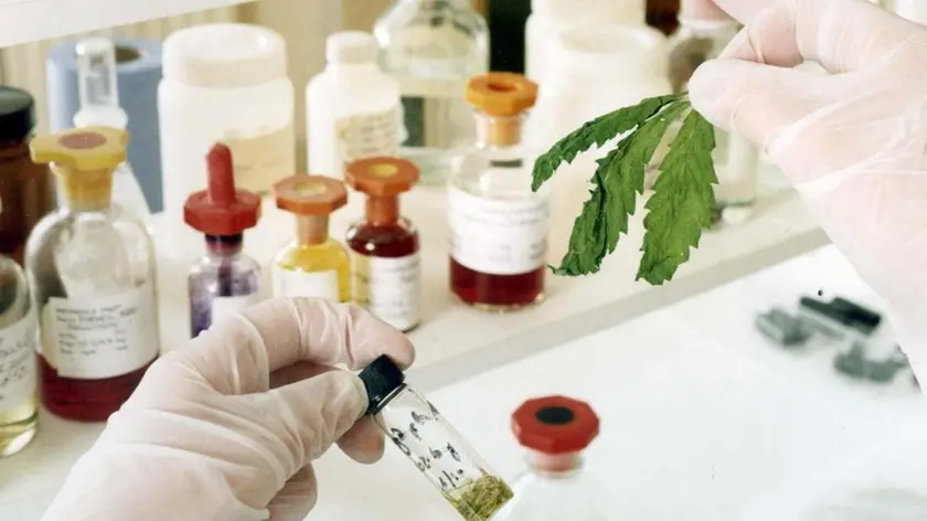 Al lavoro in un laboratorio