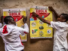 Students put a poster detailing Ebola sensitization on the walls at La Vérité school in Butembo, North Kivu, Democratic Republic of Congo on 23 March 2019. The Ministry of Health (MoH), World Health Organisation and partners remain committed to strengthening community engagement efforts to urge individuals suspected to have contracted Ebola to seek care early and improve their chances of survival, as well as to reduce the risks of transmission. However, the presence of armed groups, their activities and their increasing direct threats against Ebola response teams, including removal of leaflets and intimidation of local health workers, continue to dampen the effort in several towns of North-Kivu province.