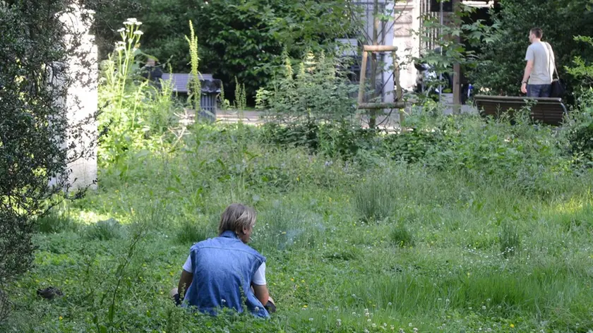 Il giardino pubblico di via Giulia (Bruni)