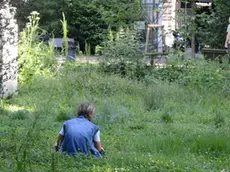 Il giardino pubblico di via Giulia (Bruni)