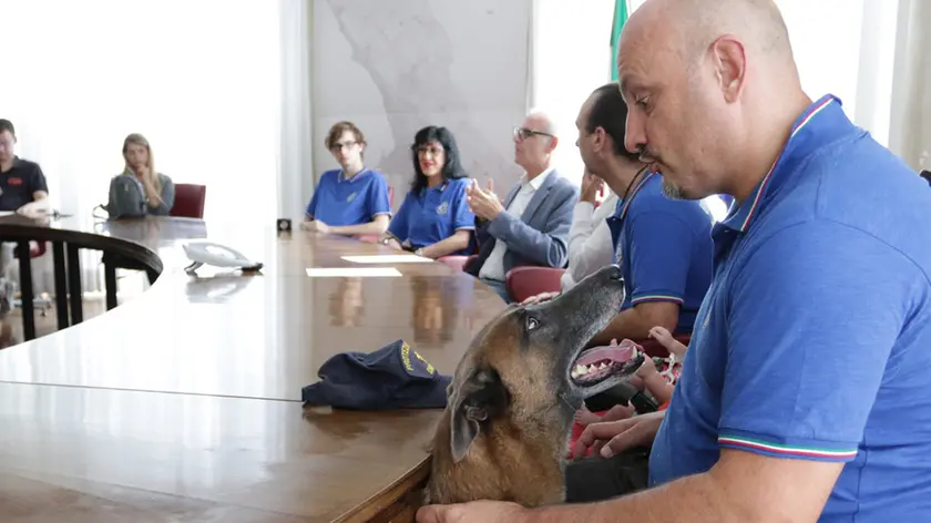 Lasorte Trieste 29/07/19 - Sala Giunta, Conferenza Stampa, Cani di salvataggio