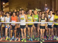 Foto Bruni 13.07.13 StraTrieste,maratona estiva sia con animali che competitiva-la partenza