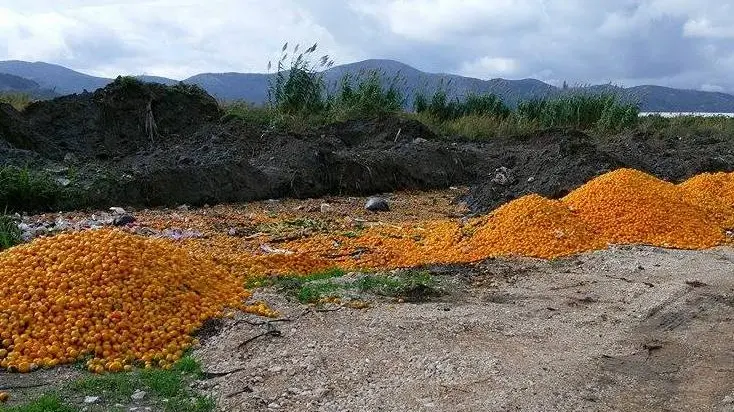 I mandarini finiti nella discarica