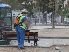 Nel fotoservizio di Andrea Lasorte e Massimo Silvano le pulizia delle aiuole senza più erba.