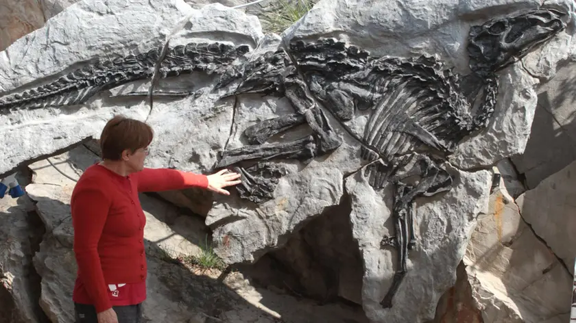 Lasorte Trieste 16/03/14 - Villaggio del Pescatore, Sito Paleontologico, Dinosauro Antonio