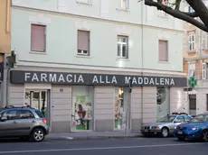 Lasorte Trieste 10/04/14 - Via dell'Istria 33, Farmacia alla Maddalena