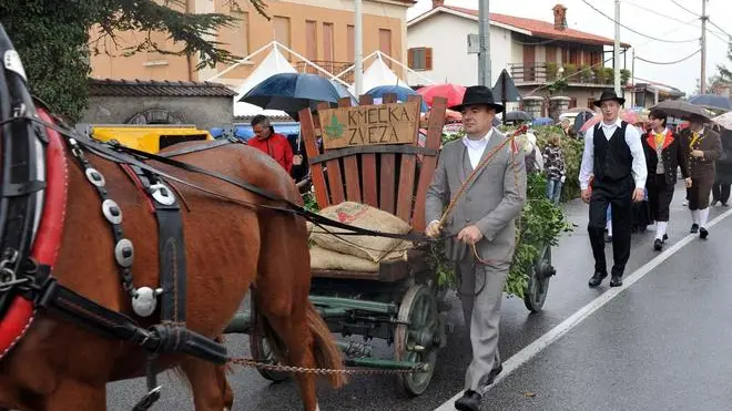 Foto BRUNI TRieste 06.11.2011 Prosecco:festa e corteo del vino