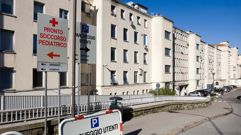 Un'immagine del Burlo