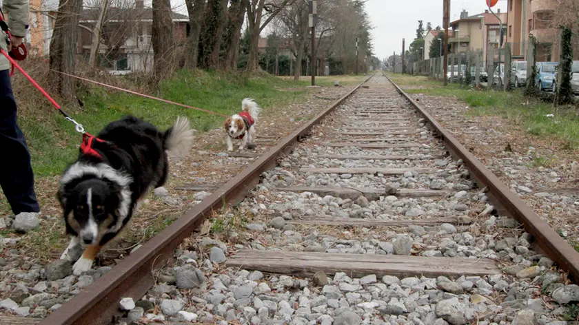 Bonaventura Monfalcone-21.02.2017 Ferrovia vecchia-Monfalcone-foto di Katia Bonaventura