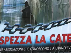 Lasorte Trieste 18/12/17 - Manifesti del Comune, Spezza la Catena contro Accattonaggio