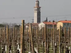 Bonaventura Monfalcone-20.03.2018 San Pier d'Isonzo-foto di Katia Bonaventura