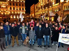 Foto Bruni 25.02.13 Elezioni 2013-i grillini festeggiano i piazza Unità