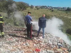 I carabinieri del Noe a Capriva