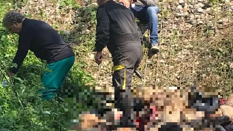 Addetti sul luogo dove si è verificato l'incidente