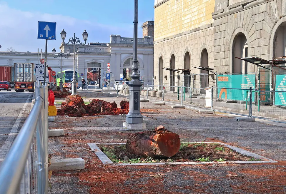 Lasorte Trieste 09/11/18 - Piazza Libertà, Silos, Sala Tripcovich, Lavori