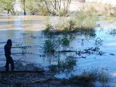 Bumbaca Gorizia 22.10.2014 Tendopoli Isonzo Espomego allagata Fotografia di RobyMarega