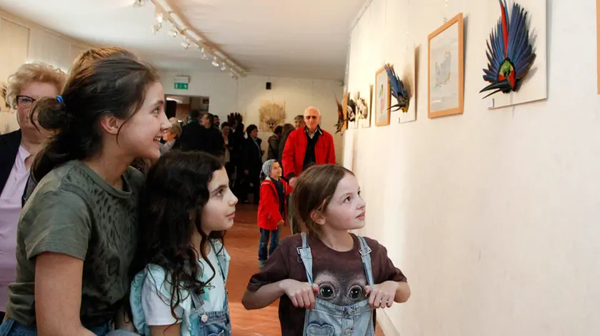 Bonaventura Monfalcone-30.04.2016 Inaugurazione mostra Altan e Mara Chaves-Aquileia-foto di Katia Bonaventura