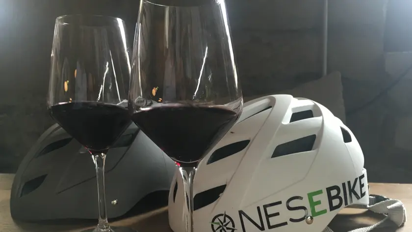 Fine settimana sul Carso fra vino e bici elettriche