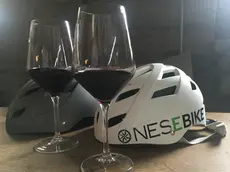 Fine settimana sul Carso fra vino e bici elettriche