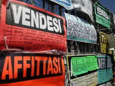 Nella, foto, cartelli di case in vendita e in affitto