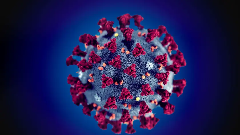 Ultrastructural morphology exhibited by coronaviruses, the spikes that adorn the outer surface of the virus, which impart the look of a corona surrounding the virion, when viewed electron microscopically, this coronavirus, named Severe Acute Respiratory Syndrome coronavirus 2 (SARS-CoV-2), was identified as the cause of an outbreak of respiratory illness first detected in Wuhan, China in 2019, the illness caused by this virus has been named coronavirus disease 2019 (COVID-19).