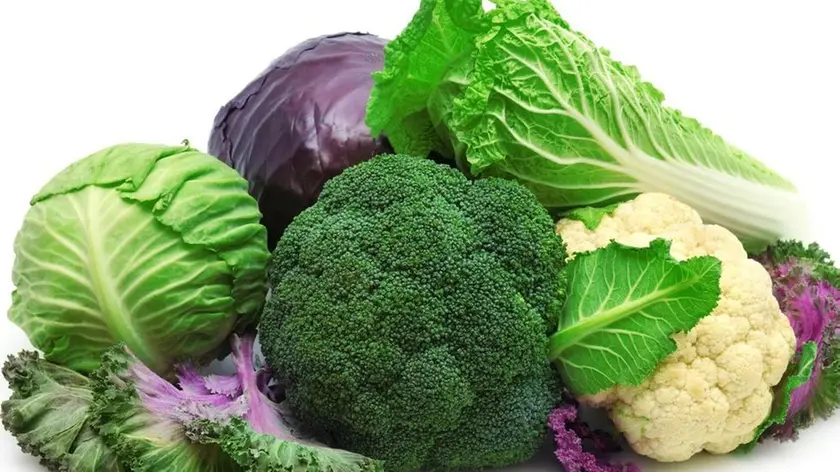 collection cabbages isolated on a white background