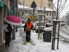 La nevicata a Opicina