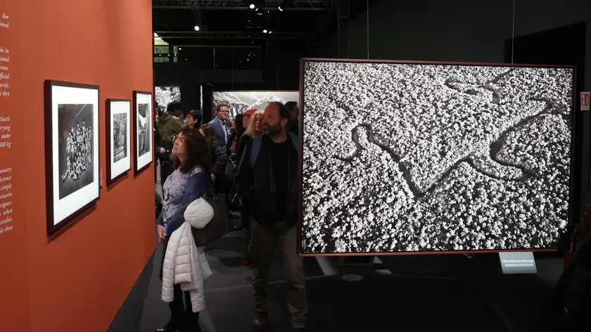 L'inaugurazione della mostra nelle foto di Andrea Lasorte