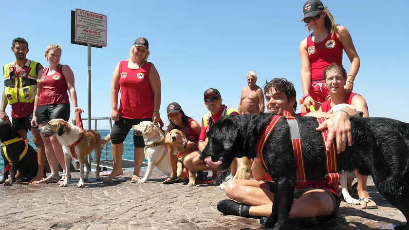 Cani e padroni dell'associazione Unità cinofile sul lungomare di Barcola