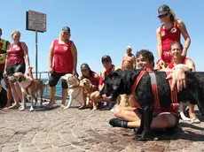 Cani e padroni dell'associazione Unità cinofile sul lungomare di Barcola