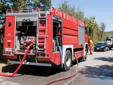 Silvano Trieste 16/08/2013 Incendio tra Gabrovizza e Sgonico