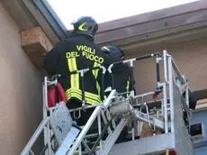 Lasorte Trieste 31/03/14 - Via Giustinano, Scuola Dante, Vigili del Fuoco, Casette Nidi di Rondone