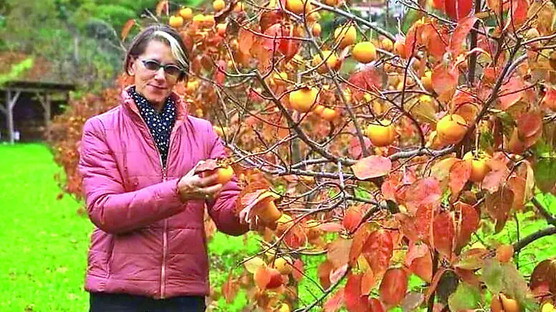 LILIANA RESINOVICH, LA 63ENNE FOTOGRAFATA DAL MARITO SEBASTIANO VISINTIN