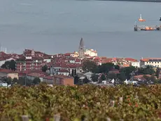 Una veduta di Muggia