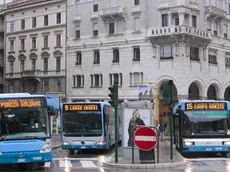 TT bus in piazza Goldoni