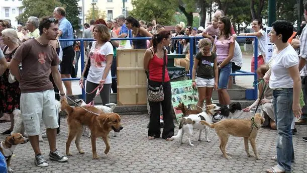 Altran Monfalcone-18.09.2011 Festival del bastardino-Area Verde-Monfalcone-foto di Katia Bonaventura
