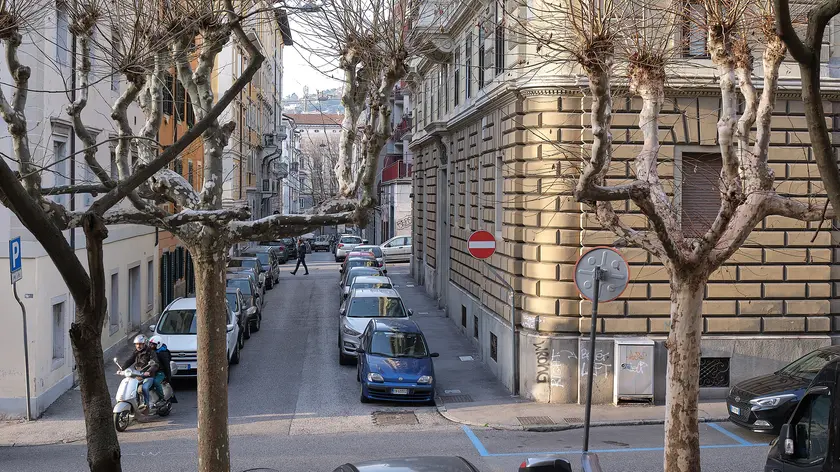 La zona interessata dalle scorribande. Foto M. Silvano
